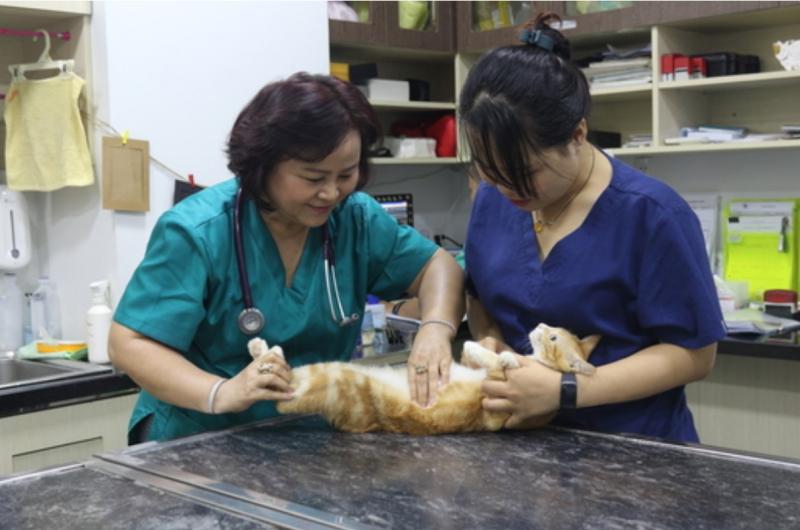 Phòng Khám Thú Y Chợ Lớn Phòng Khám Thú Y Chợ Lớn