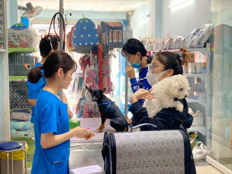 Phòng Khám Thú Y ThiThi Pet Clinic Phòng Khám Thú Y ThiThi Pet Clinic