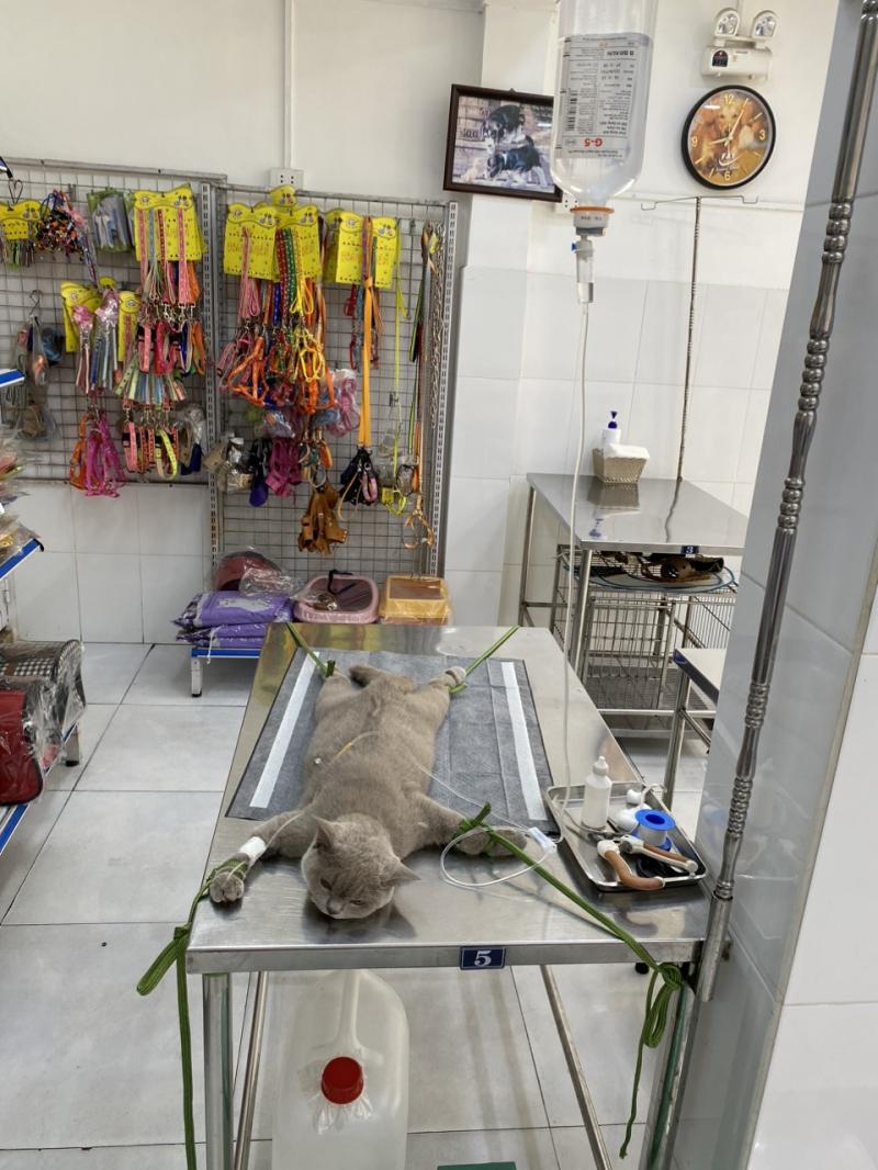 Phòng khám thú y Quang Vinh