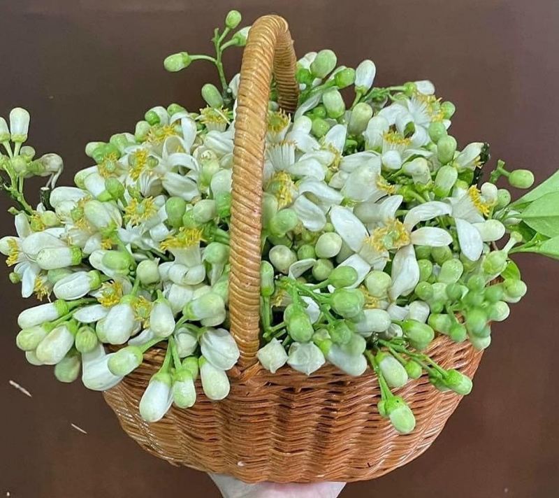 Bài tham khảo số 3