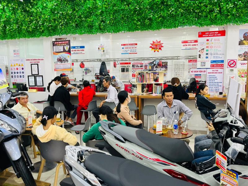 Head Hồng Đức 10 Head Hồng Đức 10