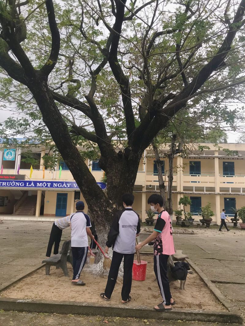 Trường THPT số 1 Phù Cát Trường THPT số 1 Phù Cát