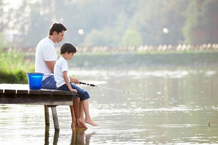 Bài văn cảm nghĩ về người cha mẫu 2