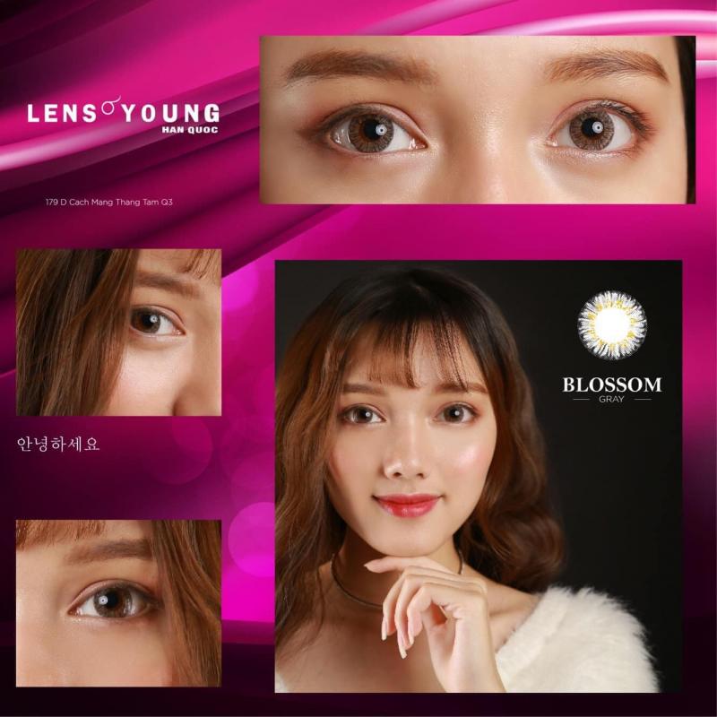 The Look Contact Lens The Look Contact Lens