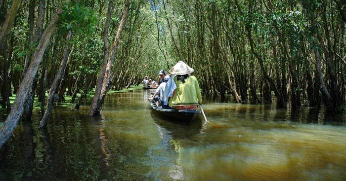 Bài tham khảo số 2