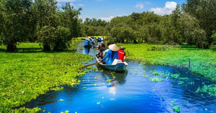 Bài tham khảo số 5