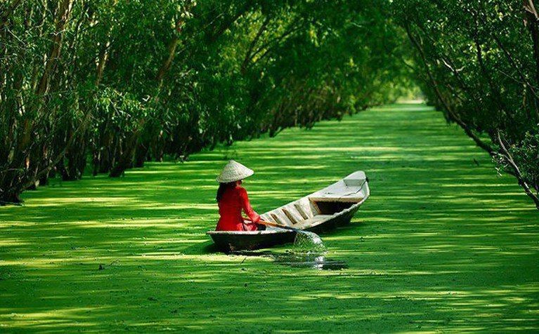Bài tham khảo số 6