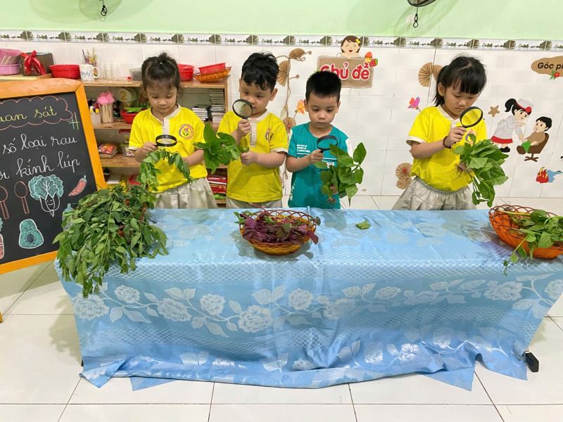 Trường Mầm non Lam Hồng Bến Cát