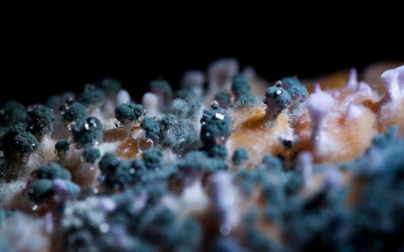 Những lưu ý và cách bản quản sản phẩm