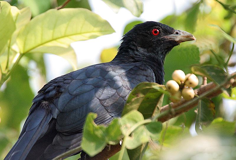 Bài tham khảo số 1 Bài tham khảo số 1