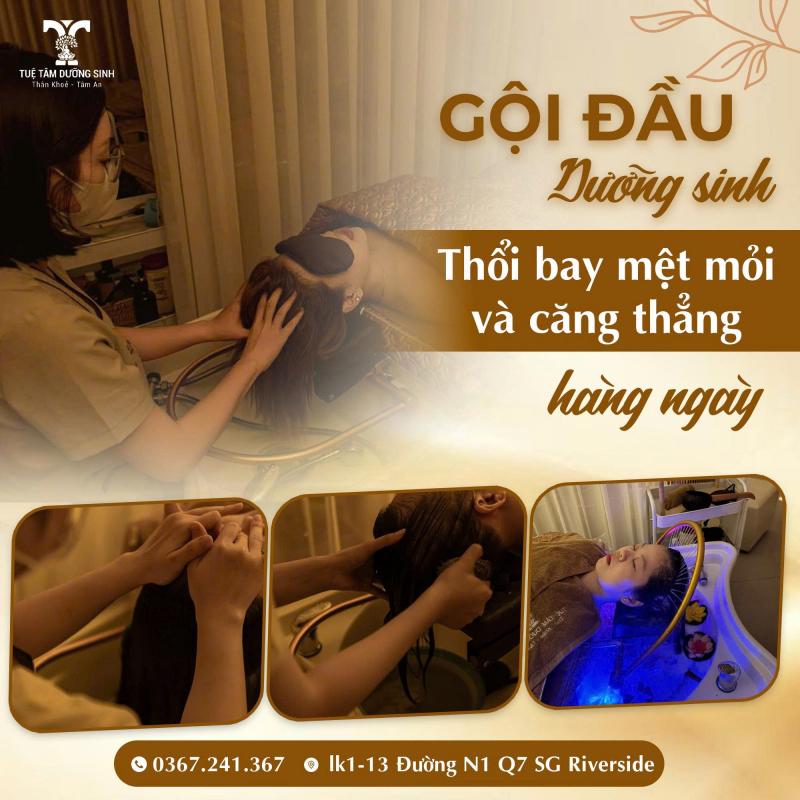 Tuệ Tâm Dưỡng Sinh