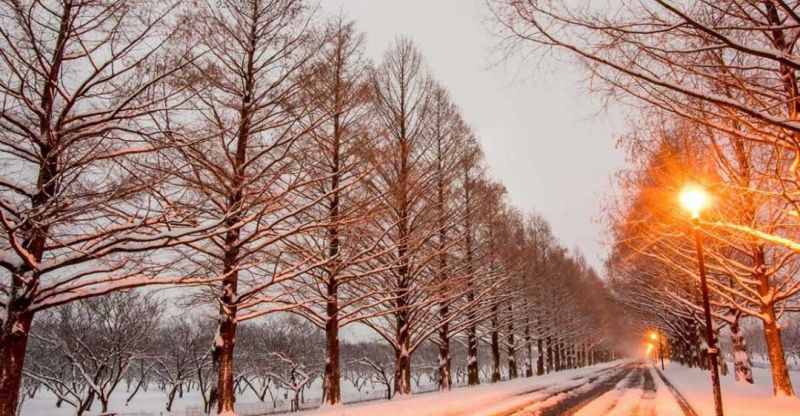 Bài tham khảo số 1