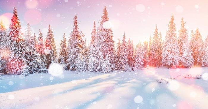 Bài tham khảo số 2