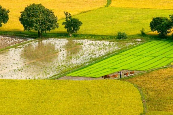 Bài tham khảo số 4