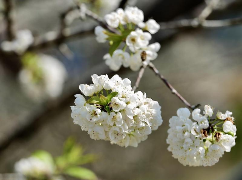 Bài tham khảo số 5