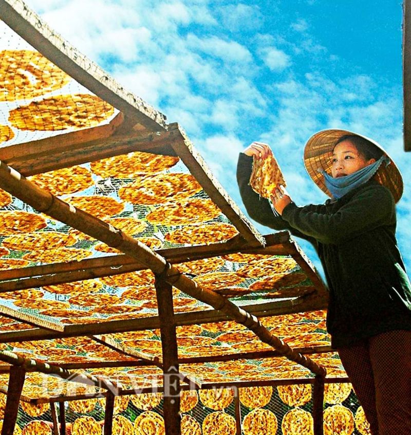 Bài tham khảo số 5