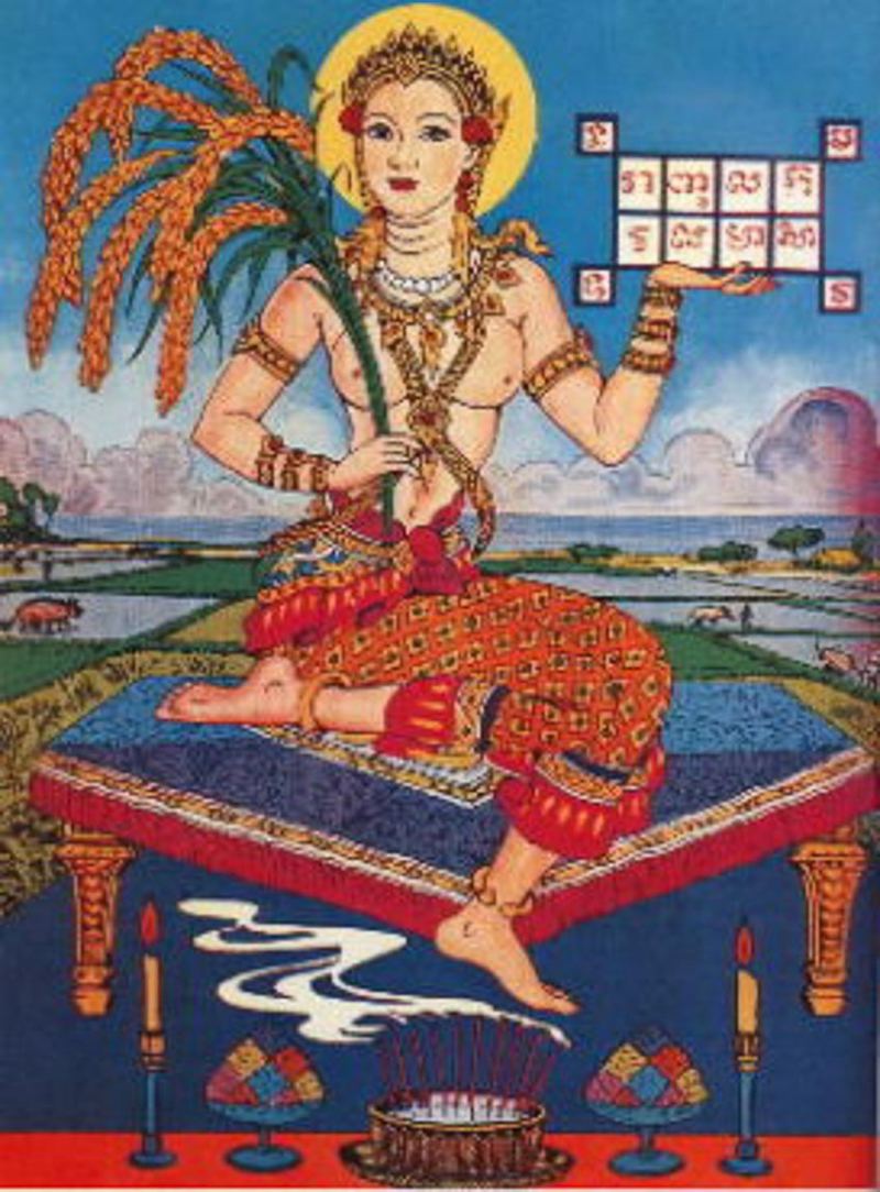 Bài tham khảo số 7