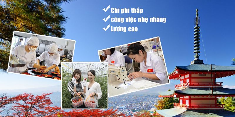 Tìm kiếm cơ hội tại các quốc gia khác