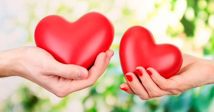 Bài tham khảo số 2