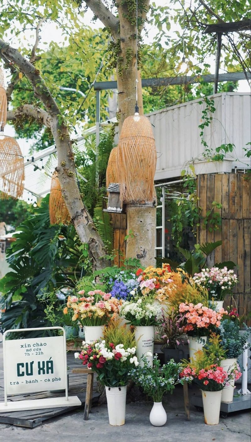 Cư Xá - trà bánh cà phê