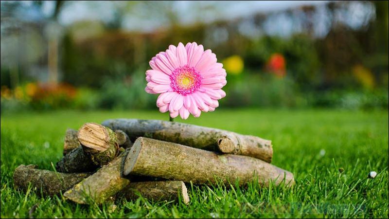 Đoạn văn viết về sự sẻ chia trong cuộc sống (Số 12) Đoạn văn viết về sự sẻ chia trong cuộc sống (Số 12)