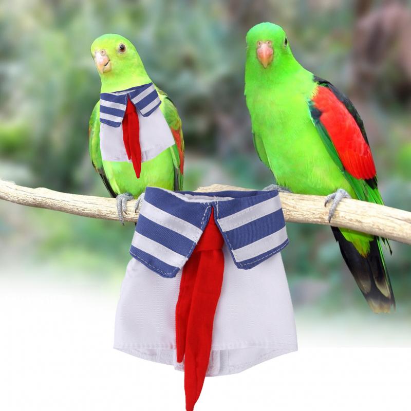 Bài văn nghị luận số 3