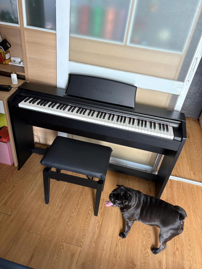 Trung Tâm Âm Nhạc Steinway