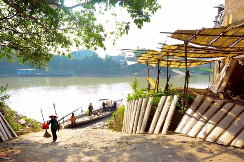 Bài tham khảo số 10